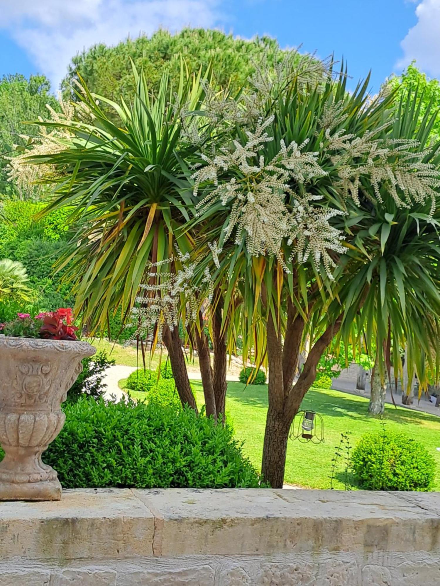 La Maison De Maitre Sainte-Livrade-sur-Lot 외부 사진